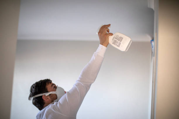 Best Residential Mold Removal  in Cumberland, IN