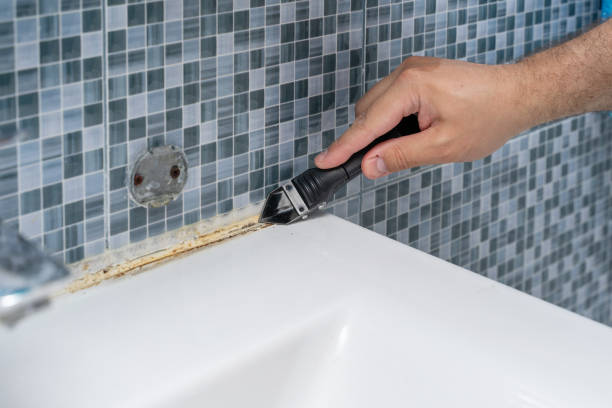 Best Mold Cleaning Services  in Cumberland, IN